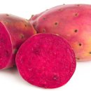 열매이야기 이미지