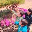 참유치원 네이버블로그