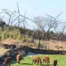 평안목장 이미지