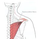 헬스사우나 이미지