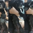 24시굿케어동물의료센터 이미지