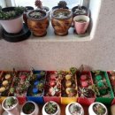 정동진썬게스트하우스 이미지