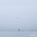 호구포한의원 이미지