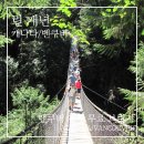 린(LYNN) | 밴쿠버 여행 | 카필라노 브릿지 대신 선택한 무료 명소, 린 캐년 후기