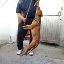 기권농장 이미지