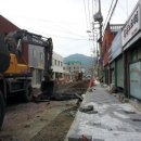 교대부설초등학교건너 이미지