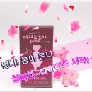 주식회사 더잇소글로벌 | [다이어트보조제]먹어도 좋아♥농축 보이차분말.S라인 돌려죠!