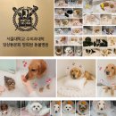 차오름동물병원 | 강아지 간 종괴·간 종양, 양성과 악성의 차이와 수술 후 예후