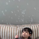 진량고등학교 | 뭐했다고 벌써 11월이세요 ..