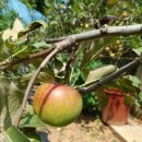 구만리농장 이미지