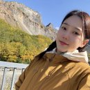 25.11.25 옴걸 X (트위터) 효정 이미지