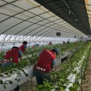 김성열농장 이미지