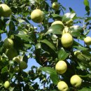 아래농장 이미지