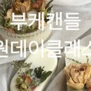 마이캔들 이미지