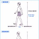 걷기운동의 효과, 올바른 걷기자세 이미지