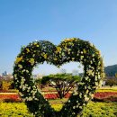 낙동강변25 이미지