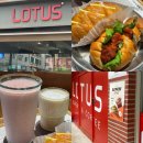 카페로투스 - 영양군 삼지길 55 | [경기:성남] 가천대역카페 '로투스베이커리' 솔직후기ㅣ복정맛집 추천, 가천대 소금빵 맛집 추천