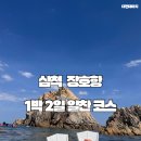 소라민박 | 내 인생 두번째 장호항 스노쿨링 38,000원에 즐기기 (여름 휴가, 민박집 추천)
