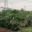 구산농장 이미지