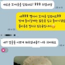 림앤도기살롱 이미지