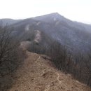 몽구름 Daum카페