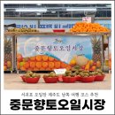 서귀포향토오일시장 | 서귀포 오일장 중문향토오일시장 제주도 남쪽 여행 코스 추천