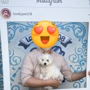 리틀미코노스5 이미지