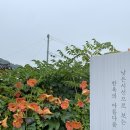 스테이낮선 이미지