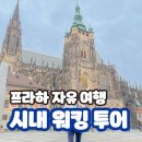 애리네식당 | 체코 프라하 자유 여행 시내 투어 반나절 워킹 일정 코스 가격 후기