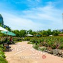 광주광역시청 이미지