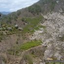 월하초당 이미지