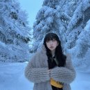 (주) 설산목장 이미지