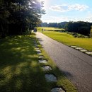 서노하우스 | 2인 플레이 노캐디 장단점 경북 블루원 상주cc 야간 라운드 후기