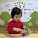 새싹 삼색무순 씨앗 심기🌱 이미지