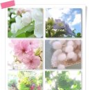 명사해수욕장 이미지