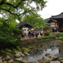 나무여행 이미지