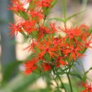 언덕농장 이미지