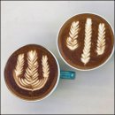 [서부] 나도 바리스타 B | 강서구바리스타학원 GCS 라떼아트 8회차 수강 후기! 하트부터 로제타까지 완성했어요