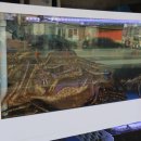 만대로 | [태안]만대회수산 특별한 코스요리 솔직 후기(랍스터+회+30첩 반상)