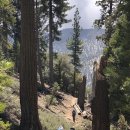 08-08-2026 Vivian Creek Trail to High Creek Camp 이미지