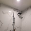 킹덤키즈 이미지