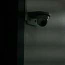 사라 양한방 동물병원 이미지