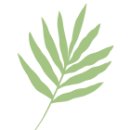 오얏리스테이 이미지