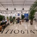 파티오6747 이미지