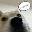 먹:다 이미지
