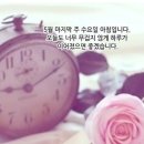 (주)수요일