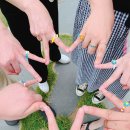 코끼리밀관