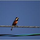 벌이네민박 이미지