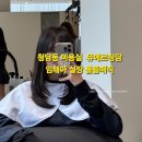청담동 미용실 임채아실장 볼륨매직 후기 뮤에르청담