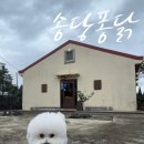 송당퐁당 | [제주살이 11주차] 제주 구좌 애견동반식당_송당퐁닭(닭볶음탕 맛집)